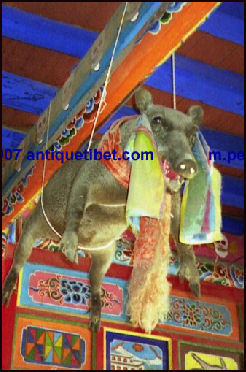20080228-bon_monastery_png antique tibet.jpg